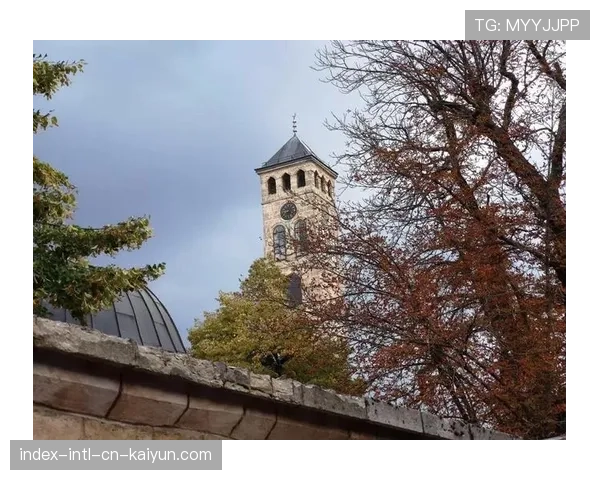 加拿大波黑枫叶逼抢革命 东道主高位防守遭遇巴尔干技术流